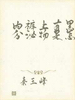 内裤上有黑色的分泌物是怎么回事