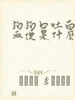 狗狗口吐白沫拉血便是什么原因