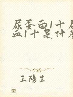 尿蛋白1十尿隐血1十是什么病