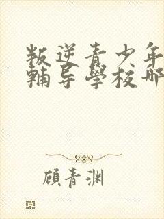 叛逆青少年心理辅导学校哪里有