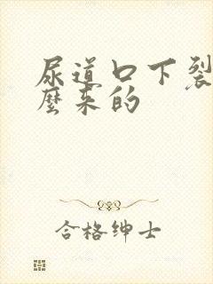 尿道口下裂是怎么来的