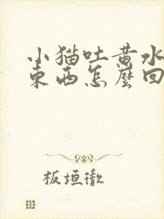 小猫吐黄水不吃东西怎么回事