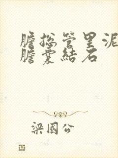 胆总管里泥沙型胆囊结石