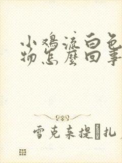 小鸡流白色分泌物怎么回事