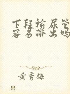 下段输尿管结石容易排出吗