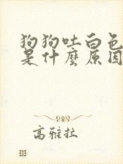 狗狗吐白色液体是什么原因