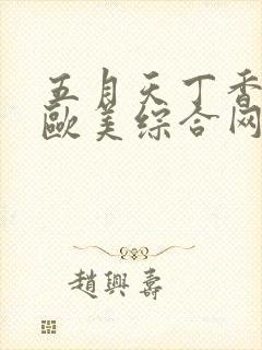 五月天丁香婷婷欧美综合网