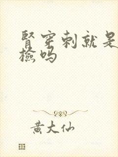 肾穿刺就是肾活检吗