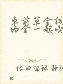 车前草金钱草鸡内金一起吃可以治疗尿结石吗