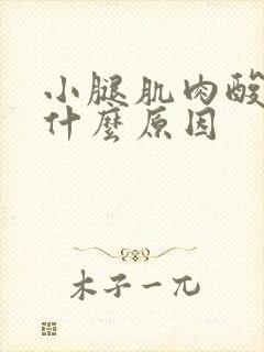 小腿肌肉酸痛是什么原因