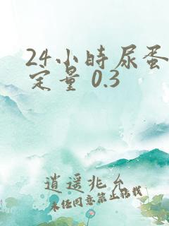 24小时尿蛋白定量 0.3