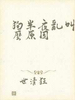 狗半夜乱叫是什么原因