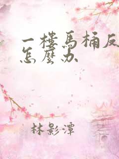 一楼马桶反臭味怎么办