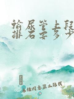 输尿管上段结石排石要多少钱