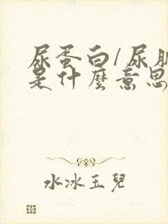 尿蛋白/尿肌酐是什么意思