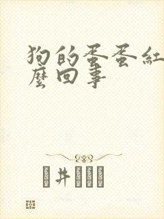 狗的蛋蛋红是怎么回事