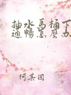 抽水马桶下水不通畅怎么办