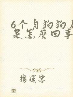 6个月狗狗尿血是怎么回事