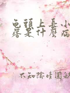 龟头上长小红疙瘩是什么病