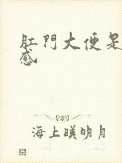 肛门大便是撕裂感