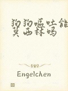 狗狗呕吐能吃阿莫西林吗