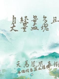 月经量多且伴有大量血块