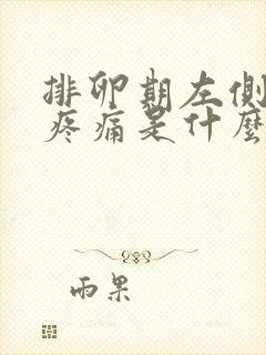 排卵期左侧小腹疼痛是什么原因