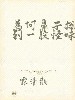 为何鼻子总是闻到一股怪味