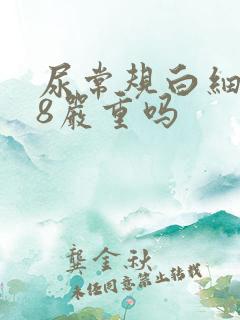 尿常规白细胞18严重吗