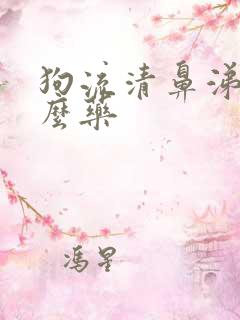 狗流清鼻涕吃什么药