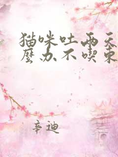 猫咪吐两天了怎么办不吃东西