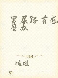 男尿路有感染怎么办