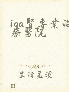 iga肾专业治疗医院