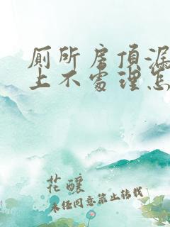 厕所房顶漏水楼上不处理怎么办