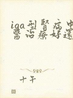 iga型肾病中医治疗好还是西医治疗好