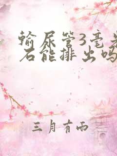 输尿管3毫米结石能排出吗