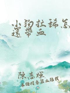 小狗拉稀怎么办还带血