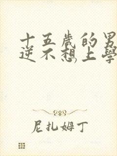 十五岁的男孩叛逆不想上学怎么办