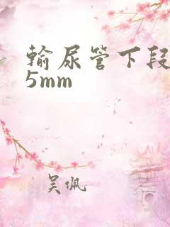 输尿管下段结石5mm