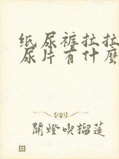 纸尿裤拉拉裤纸尿片有什么区别