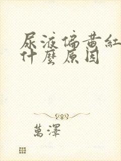 尿液偏黄红色是什么原因