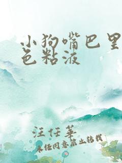 小狗嘴巴里吐白色粘液