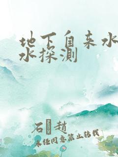 地下自来水管漏水探测