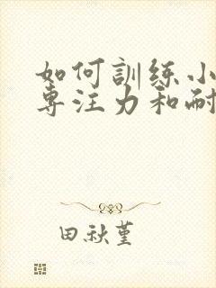 如何训练小孩的专注力和耐心