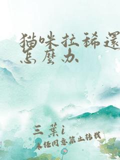 猫咪拉稀还带血怎么办