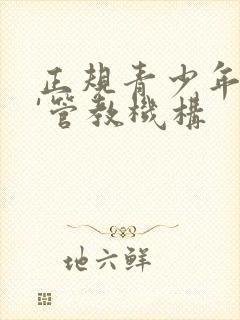 正规青少年叛逆'管教机构