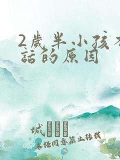 2岁半小孩不说话的原因