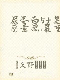 尿蛋白5+是什么意思,严重吗