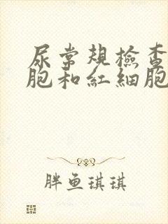 尿常规检查白细胞和红细胞高