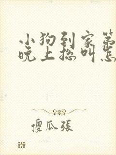 小狗到家第一天晚上总叫怎么办